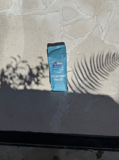 Seasonal Swell – Autumn 2026 Edition