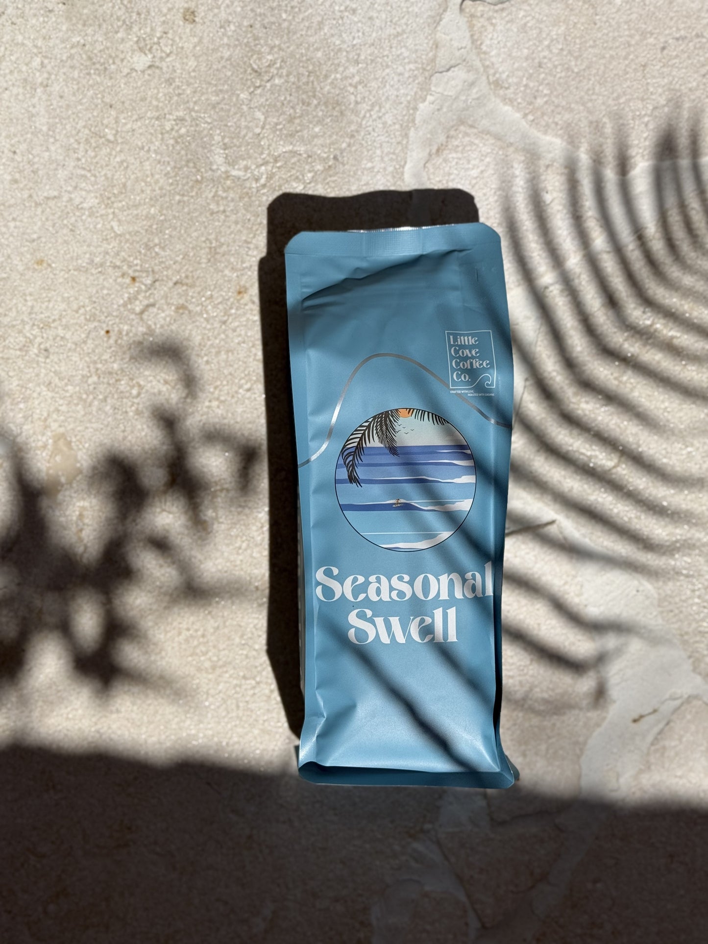 Seasonal Swell – Autumn 2026 Edition
